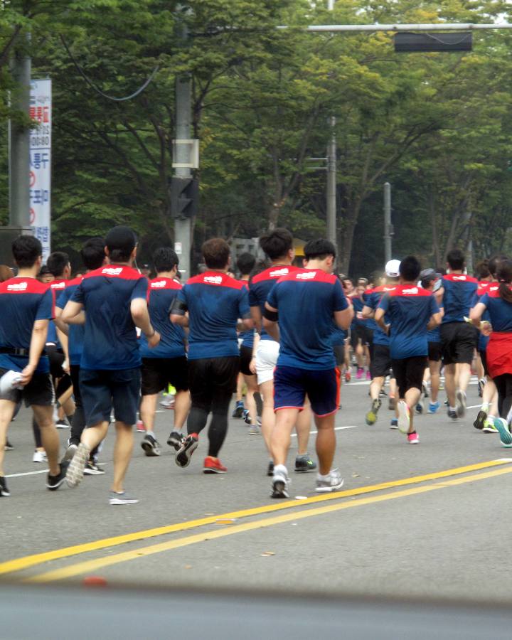 복종은 죽지 않는다 자리를 옮길 뿐